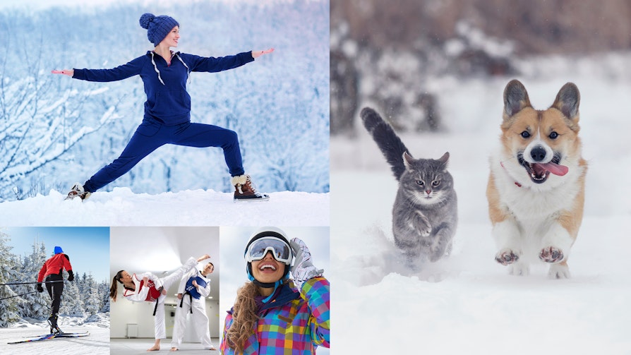 En bildecollage med bilder av en kund og en katt som løper i snøen, en dame som gjør yoga utendørs, en mann på ski, en kvinne og en mann som driver med kampsport, en kvinne med hjelp og briller i bakken.