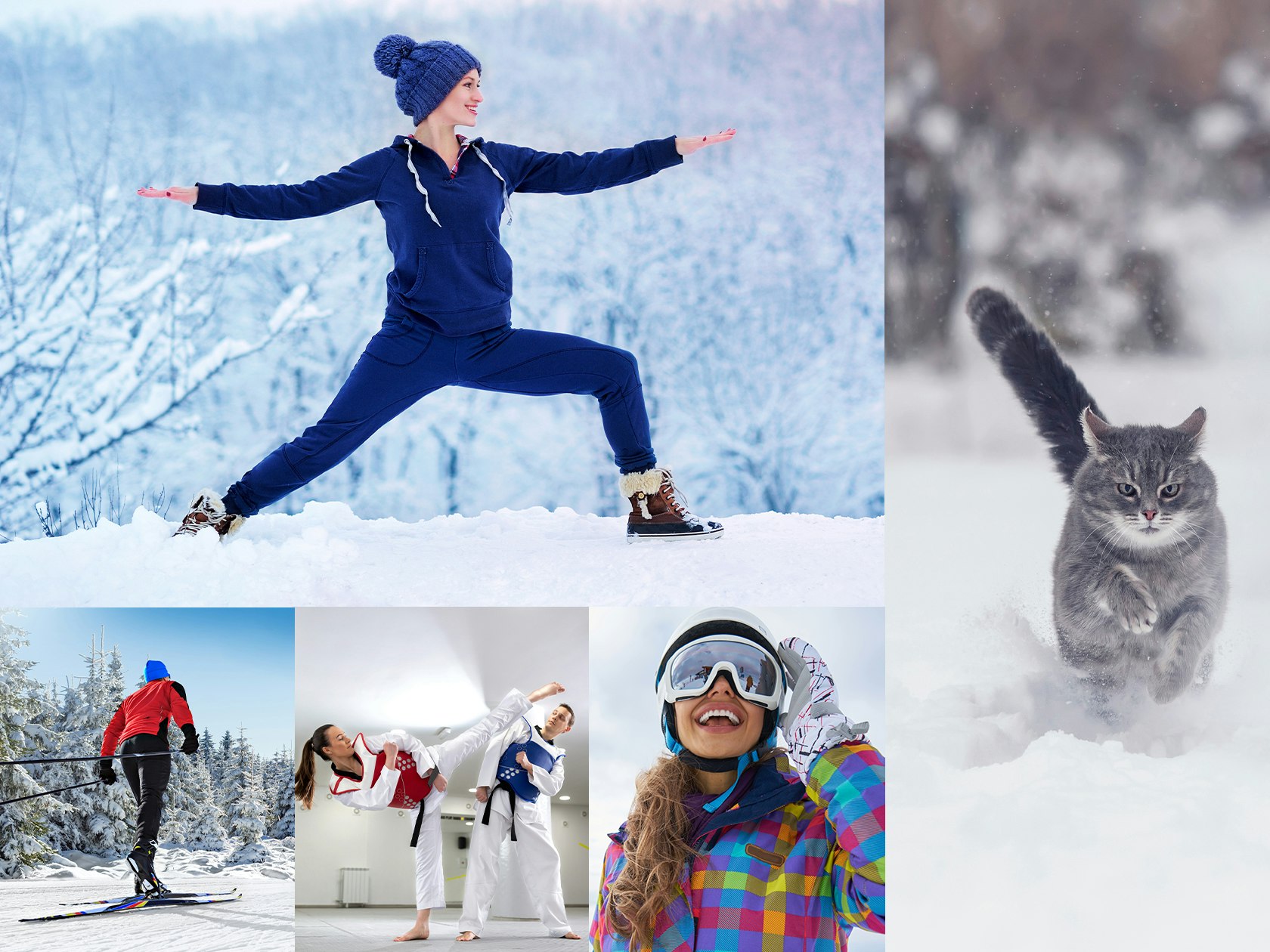 En bildecollage med bilder av en kund og en katt som løper i snøen, en dame som gjør yoga utendørs, en mann på ski, en kvinne og en mann som driver med kampsport, en kvinne med hjelp og briller i bakken.