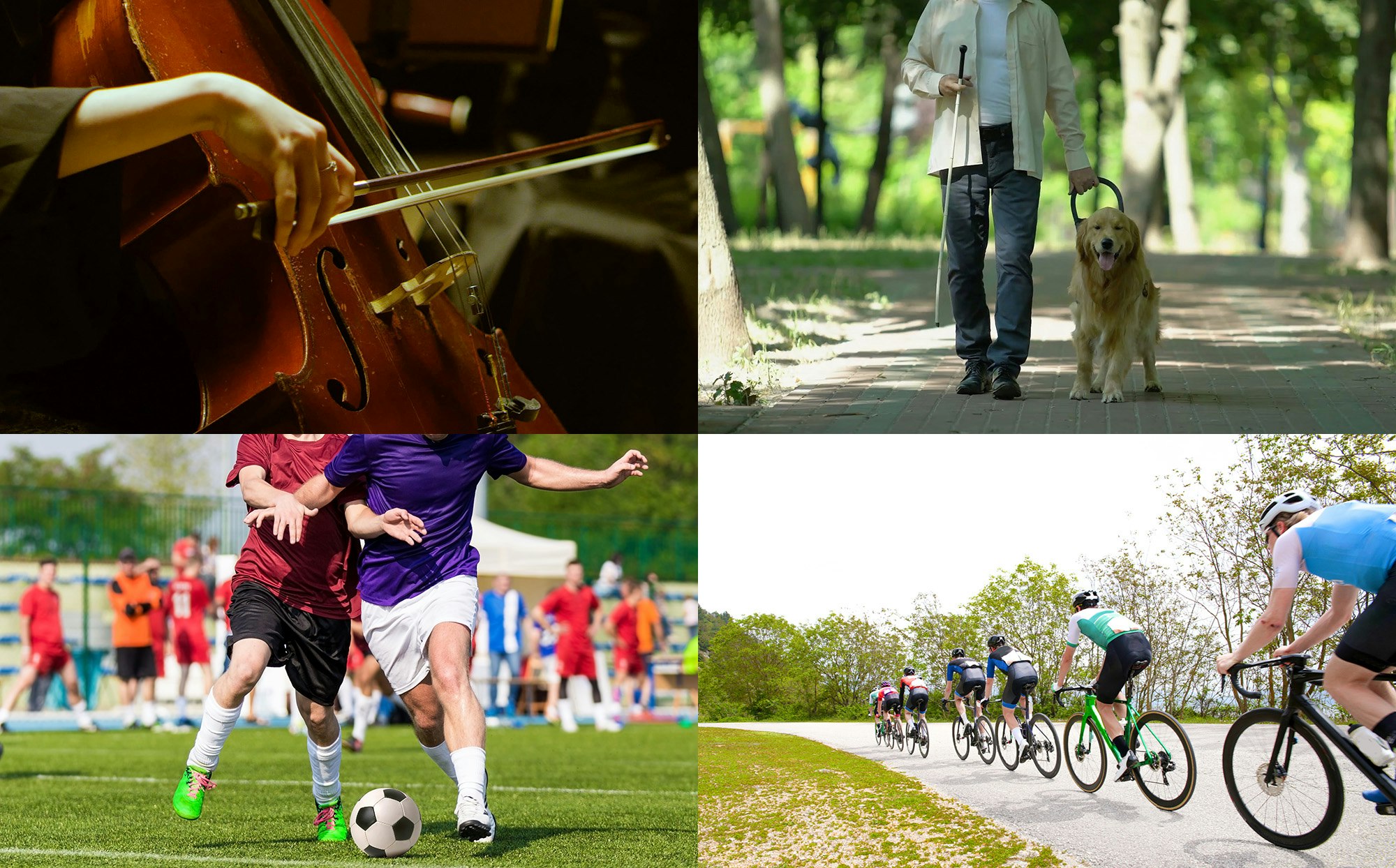 Bilde som viser fire ulike formål du kan støtte gjennom Grasrotandelen. Orkester og korps, førerhunder, fotball- og sykkelklubber.
