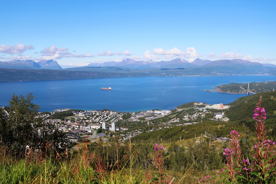 Utsikt over Narvik og fjorden fra Narvik-fjellet om sommeren.