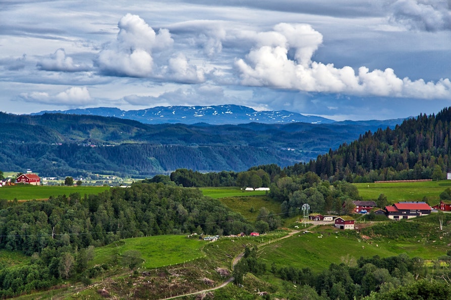 Dronebilde over grønne åkrer og skog og røde gårdsbygninger i Orkland på sommeren.