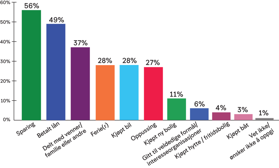 Grafikk til Millionærundersøkelsen 2025. Viser hva vinnerne har brukt penger på.