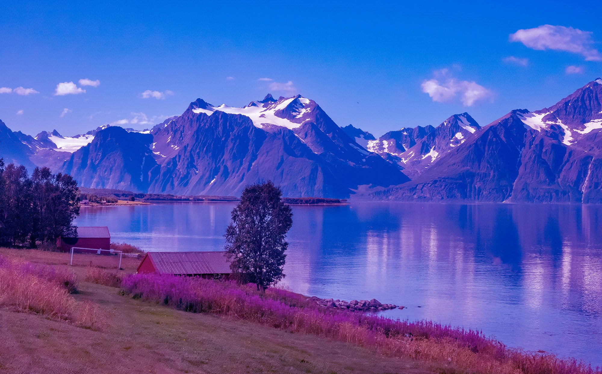 Lyngen i Troms. Lilla farger i bildet, da det ble brukt i artikkel om en Extra-kandidat som var fra Lyngen.
