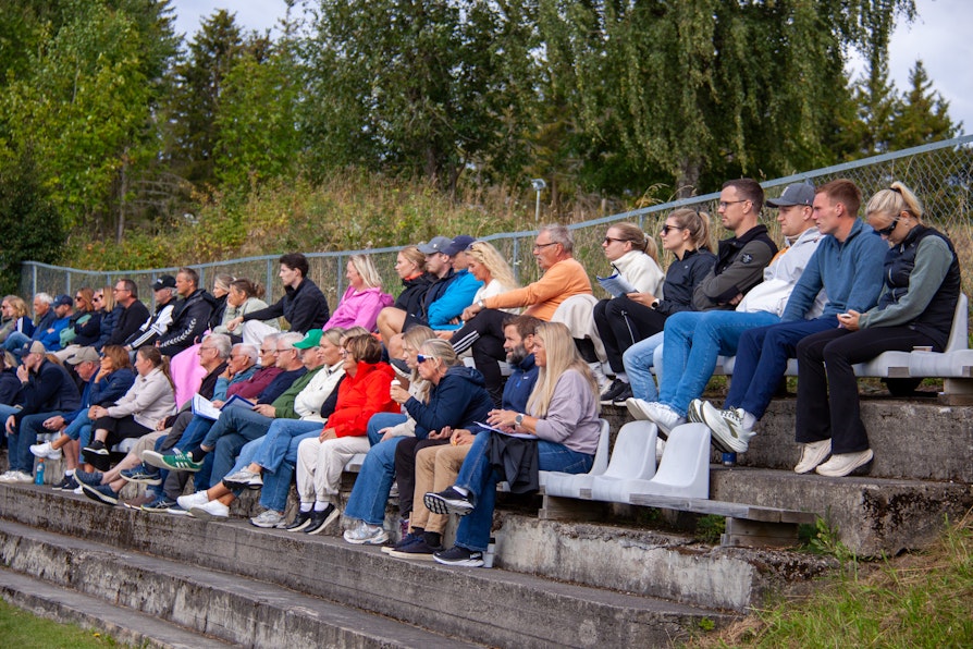 Cirka 40 personer sitter på tribuna og ser på kampen.