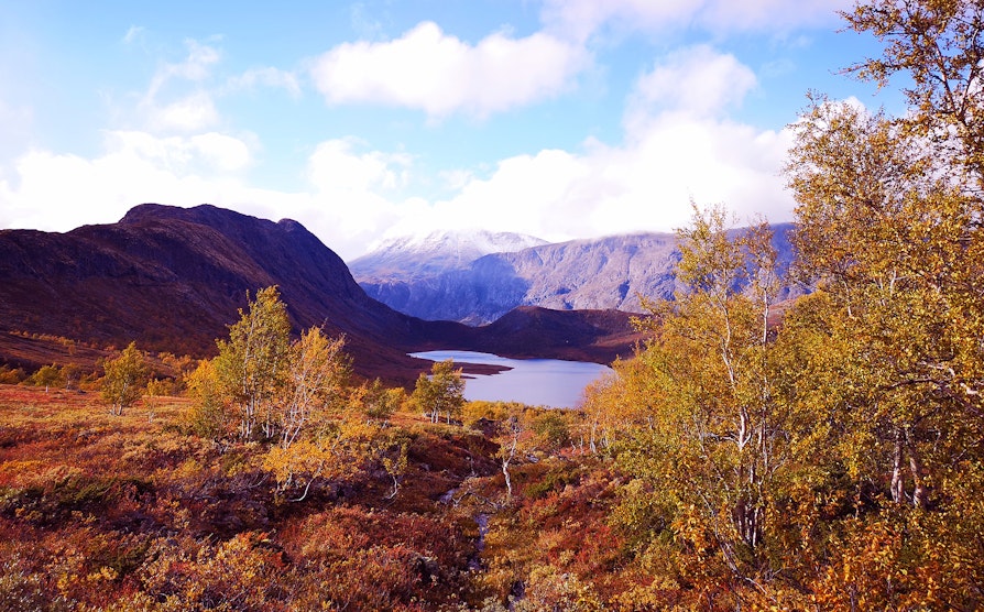 Nedre Leirungen i Vågå kommune i Norge. Høstelige farger på blader, trær og fjell, med et vann i midten. Lilla farger i bildet da det ble brukt til en vinnersak i Extra.