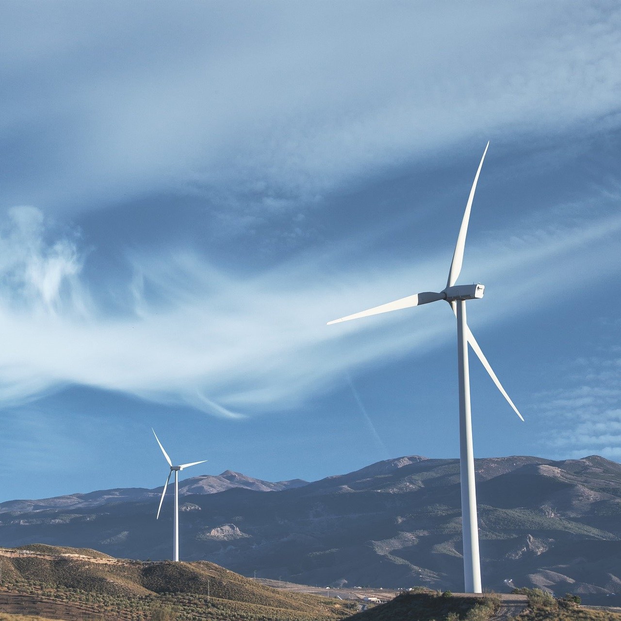 Why should my business consider calculating, reducing and compensating for CO2 emissions?