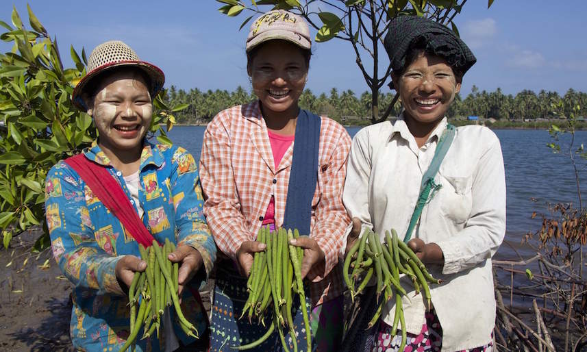 Myanmar Blue Carbon