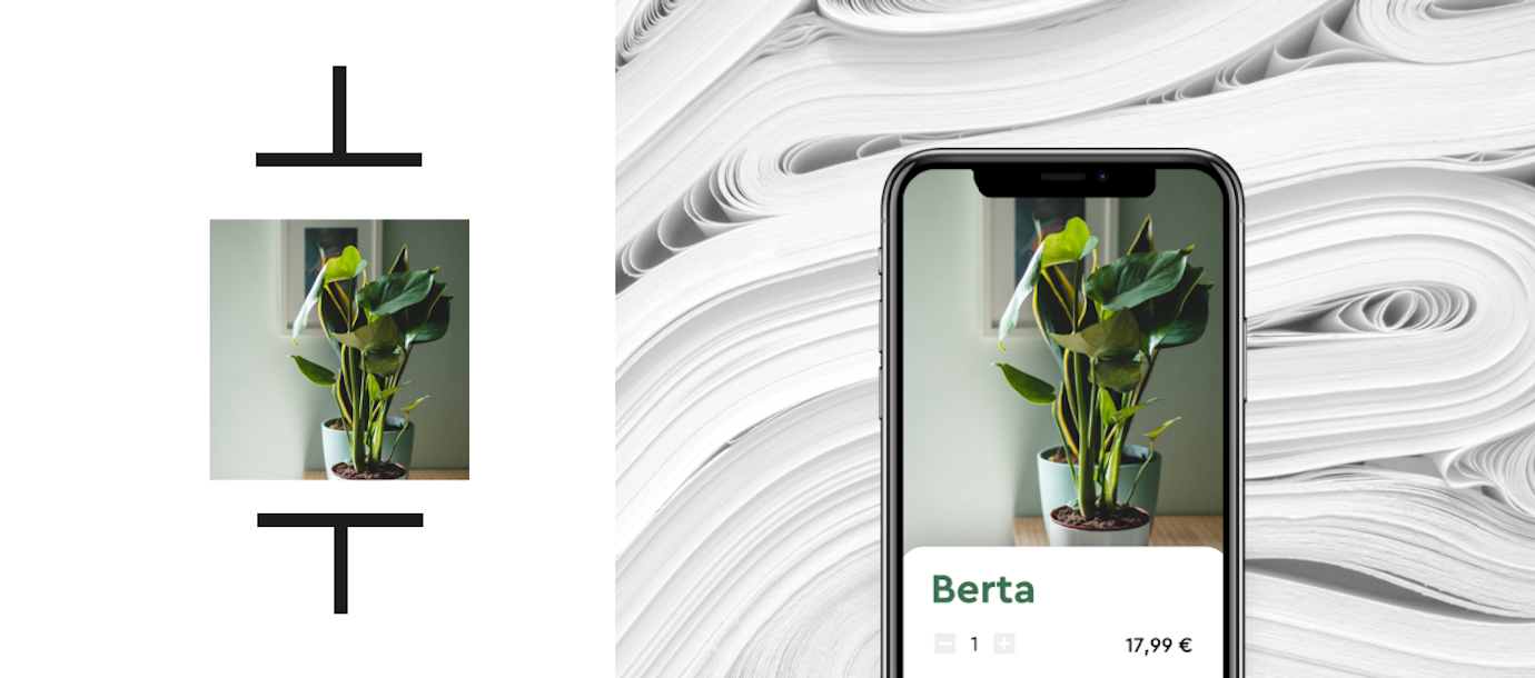 Bilder und Videos optimieren: Mehr Conversion und weniger CO2!