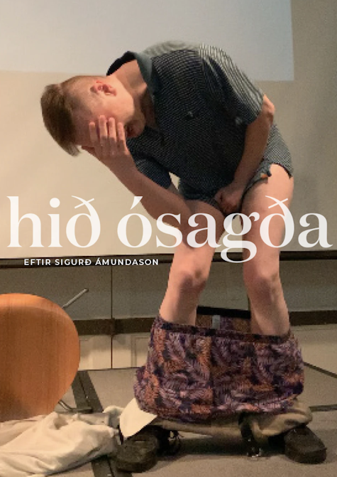 Cover Image for Hið ósagða