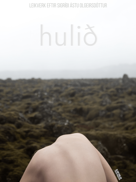 Cover Image for Hulið
