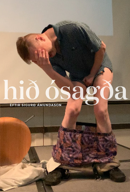 Cover Image for Hið ósagða
