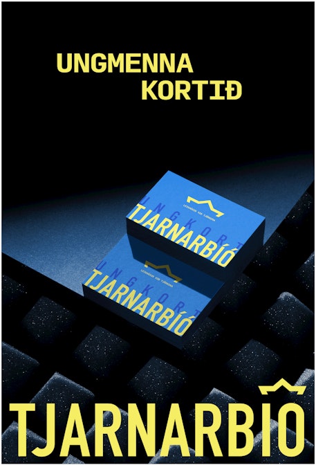 Cover Image for Ungkortið
