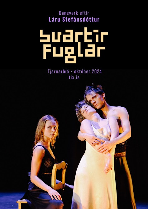 Cover Image for Svartir fuglar