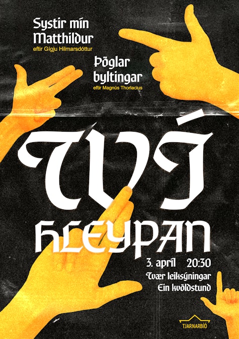 Cover Image for Tvíhleypan