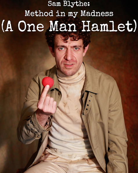 Cover Image for A method in my madness (A one man hamlet)