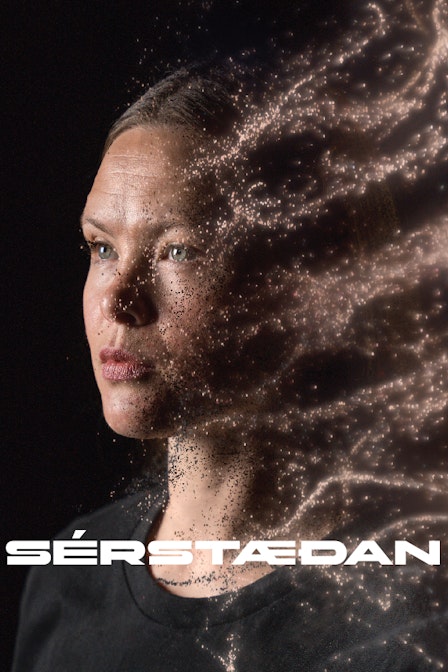 Cover Image for Sérstæðan