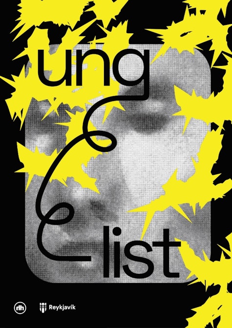 Cover Image for Ungleikur