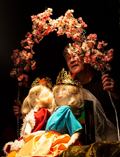 Cover Image for Dimmalimm