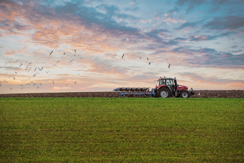 Uitzondering Europese Commissie: jouw braakliggend land in 2022 toch bruikbaar voor productiedoeleinden.