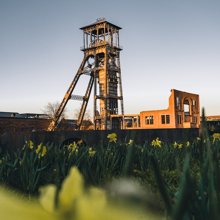 comptable Genk comptable Genk