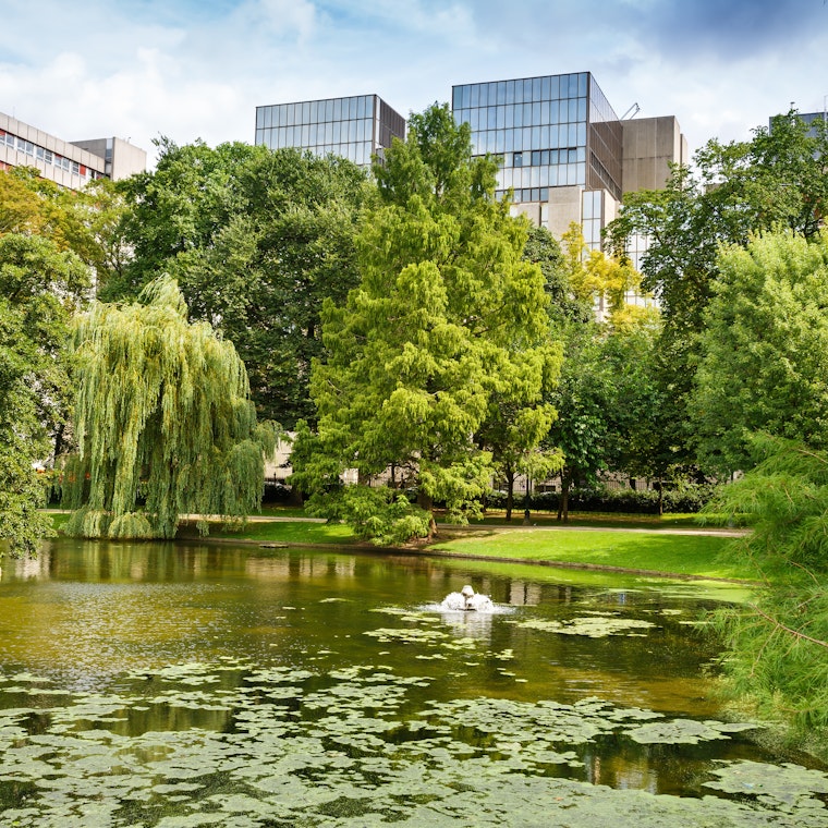 boekhouder Sint-Lambrechts-Woluwe boekhouder Sint-Lambrechts-Woluwe