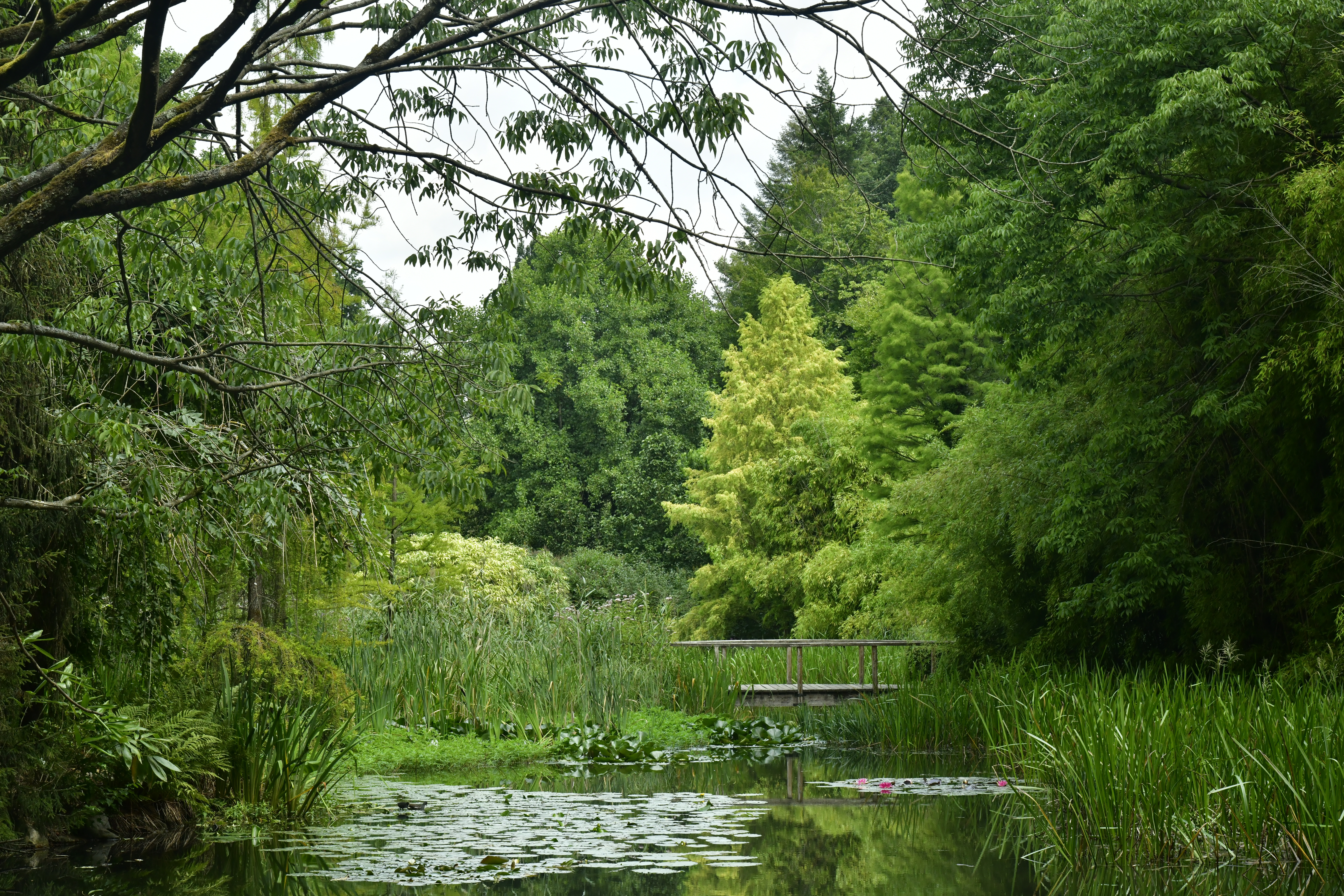 boekhouder Vosselaar