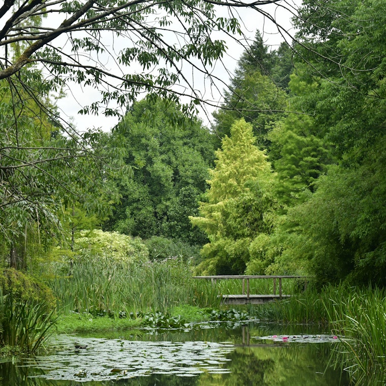 boekhouder Vosselaar boekhouder Vosselaar