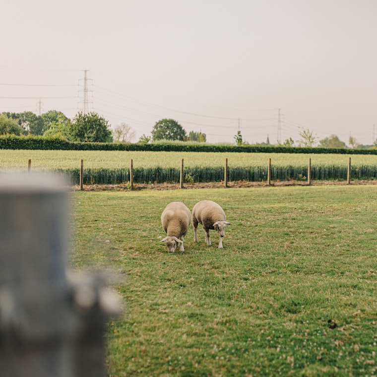 boekhouder Zulte boekhouder Zulte