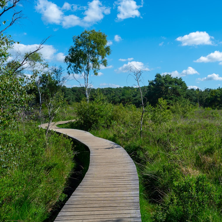 boekhouder Zoersel boekhouder Zoersel