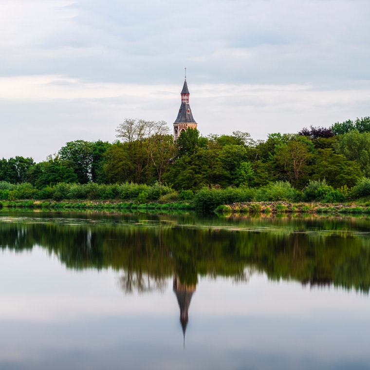 beokhouder Willebroek beokhouder Willebroek