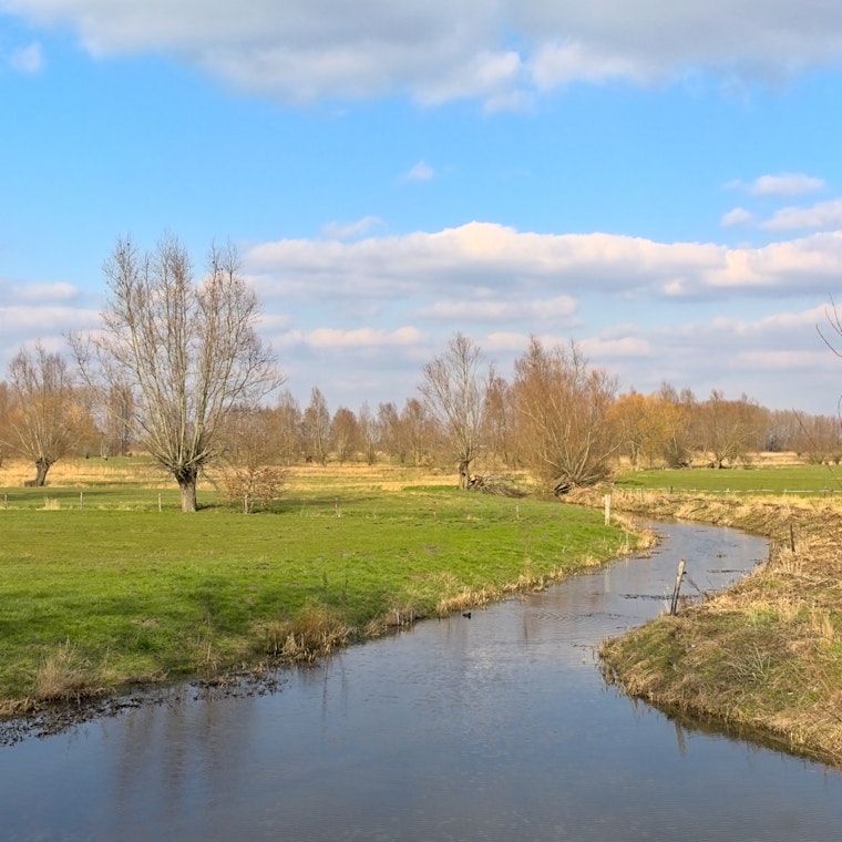 boekhouder Wichelen boekhouder Wichelen