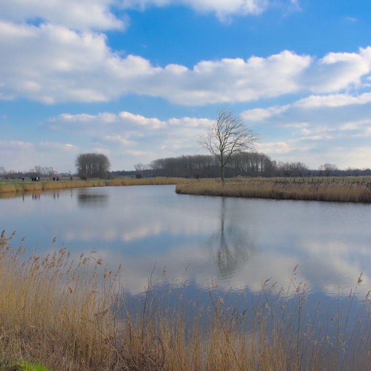 boekhouder Wetteren boekhouder Wetteren