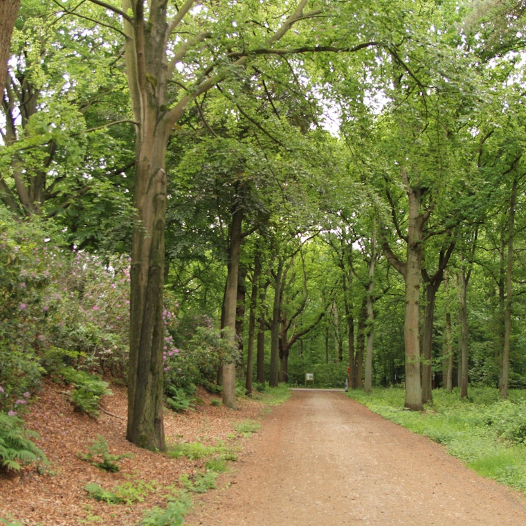 boekhouder Spiere-Helkijn boekhouder Spiere-Helkijn