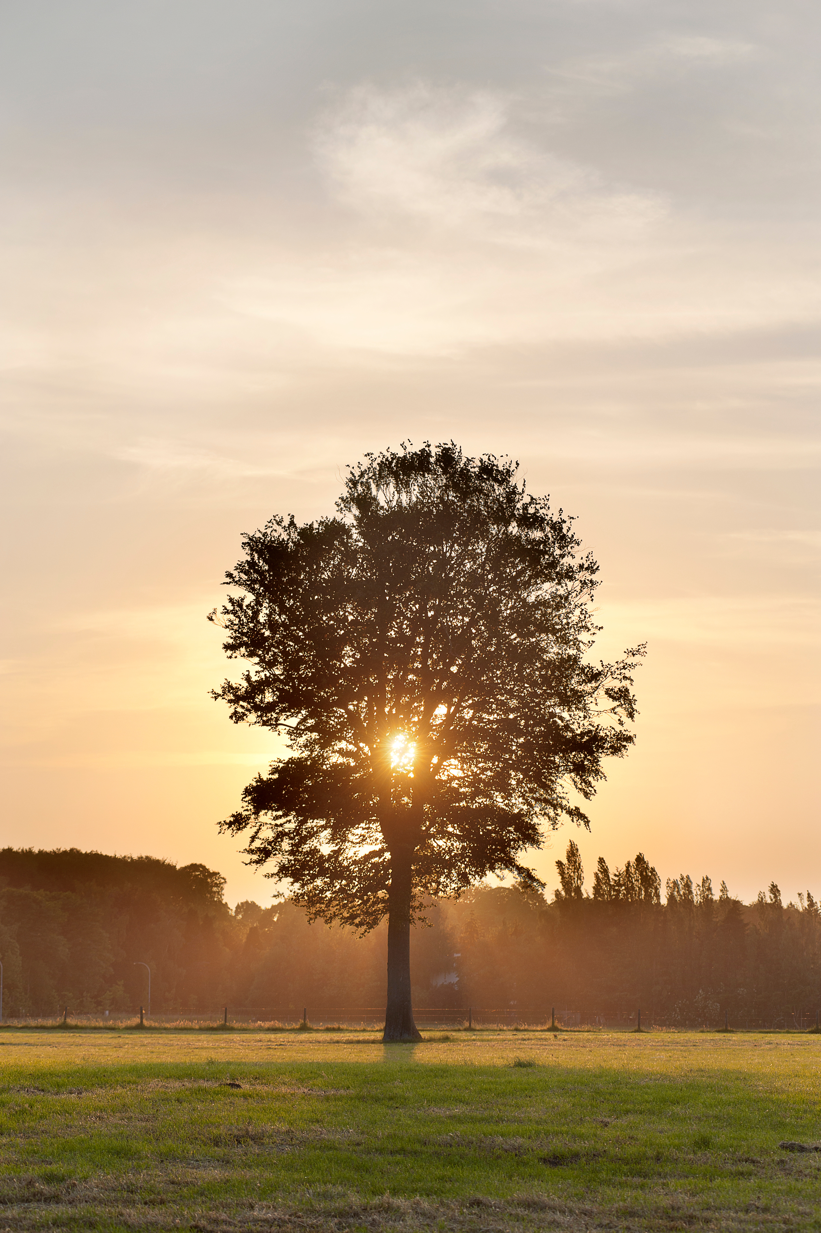 boekhouder Ruiselede