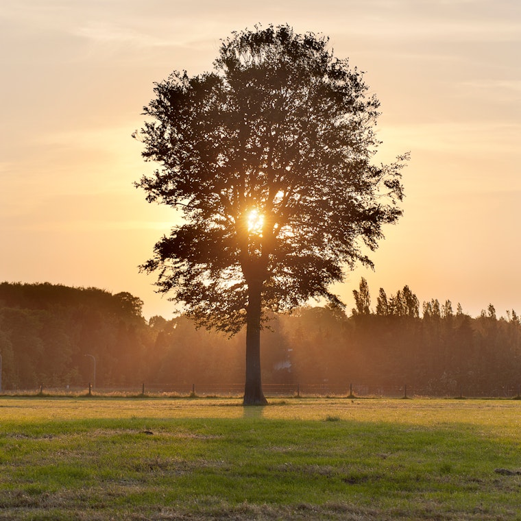 boekhouder Ruiselede boekhouder Ruiselede