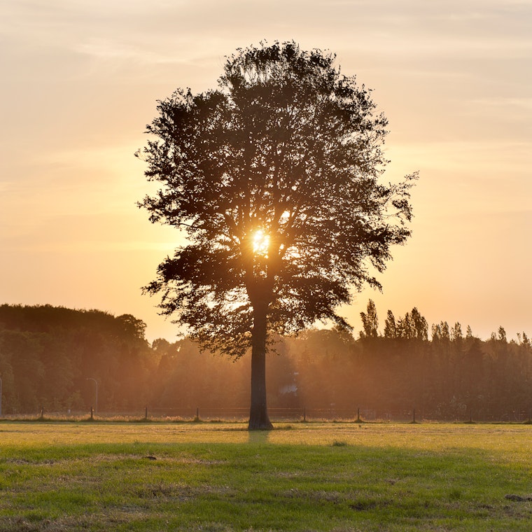 comptable Ruiselede comptable Ruiselede