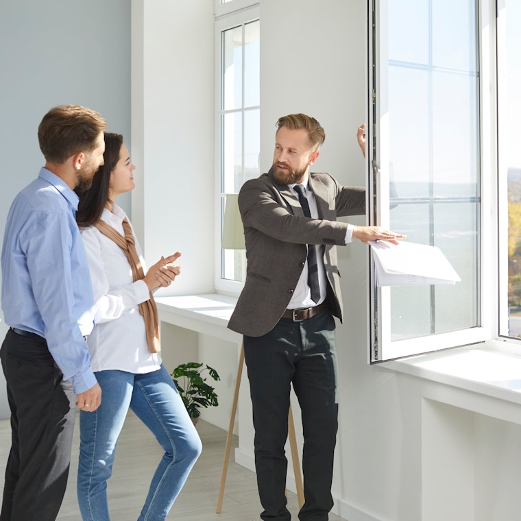 Patrimoniumvennootschappen