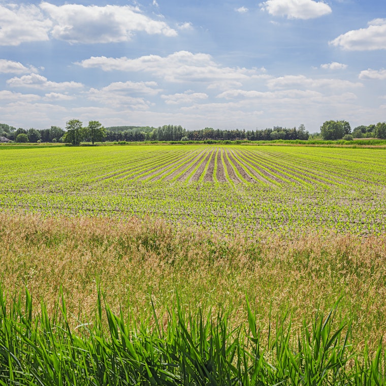 comptable Neerpelt comptable Neerpelt