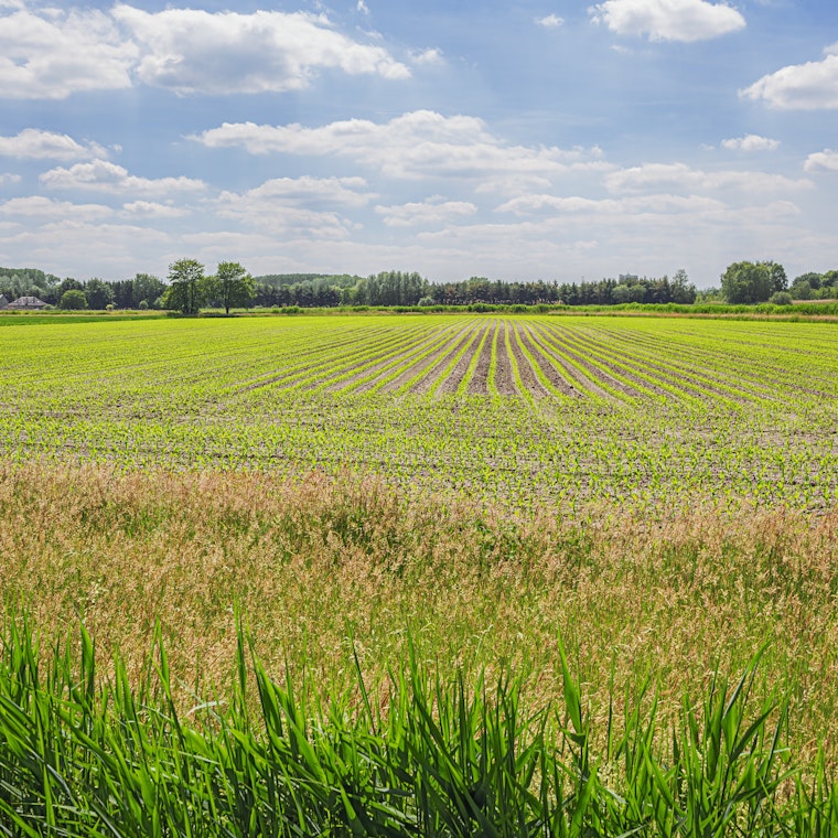 boekhouder Neerpelt boekhouder Neerpelt