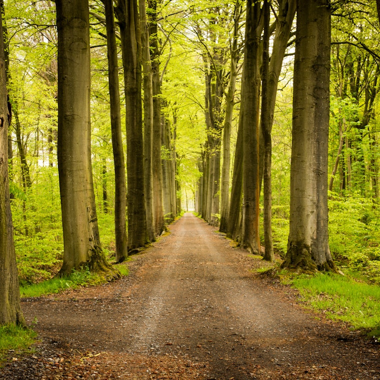 boekhouder Nevele boekhouder Nevele