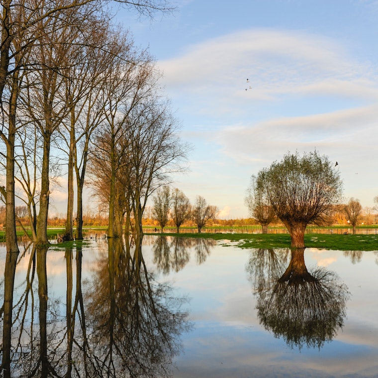 boekhouder Nazareth boekhouder Nazareth