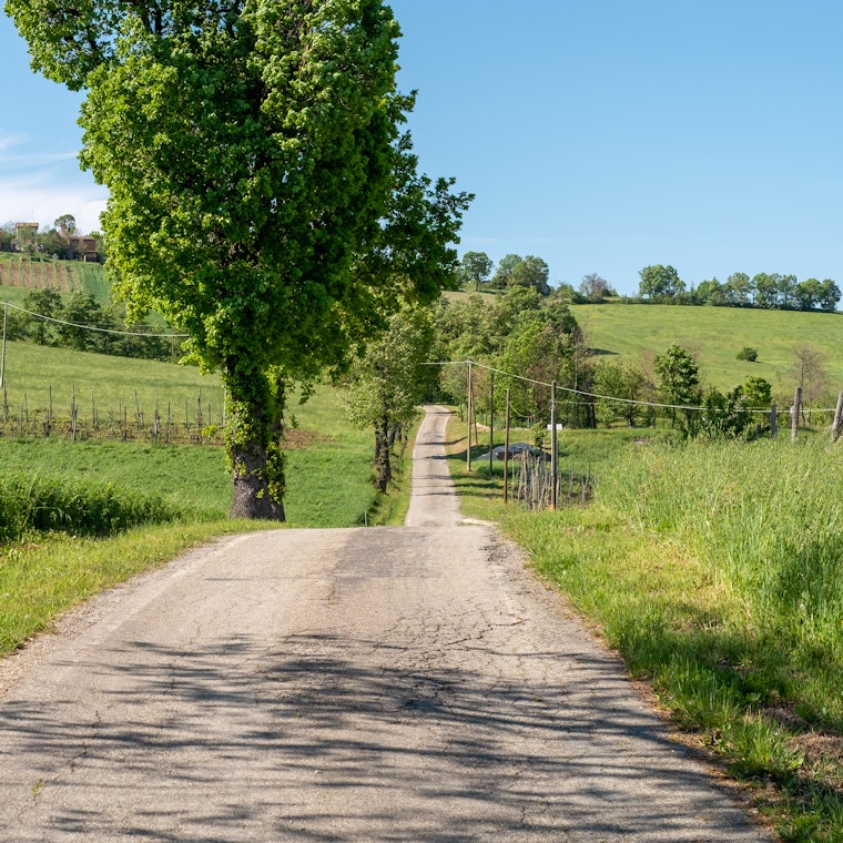 comptable Moerbeke comptable Moerbeke
