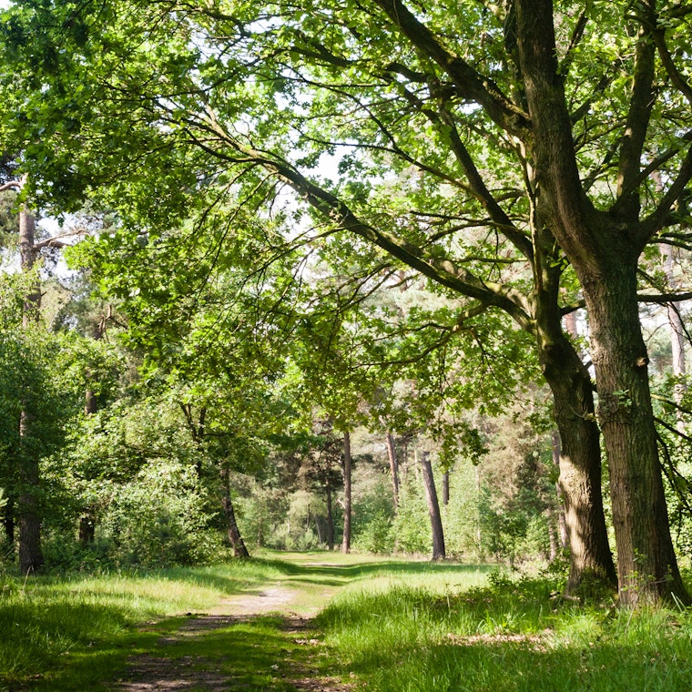 boekhouder Merksplas boekhouder Merksplas