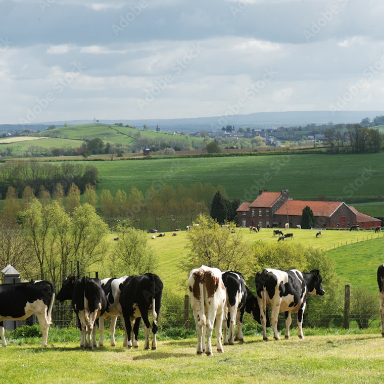 boekhouder Merchtem boekhouder Merchtem