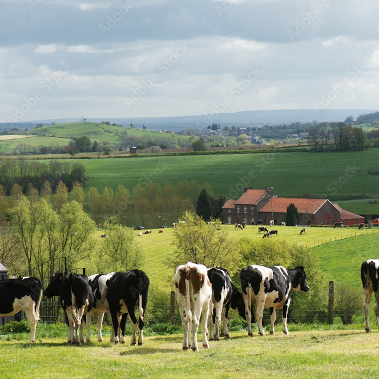 comptable Merchtem comptable Merchtem