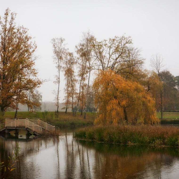 boekhouder Melle boekhouder Melle