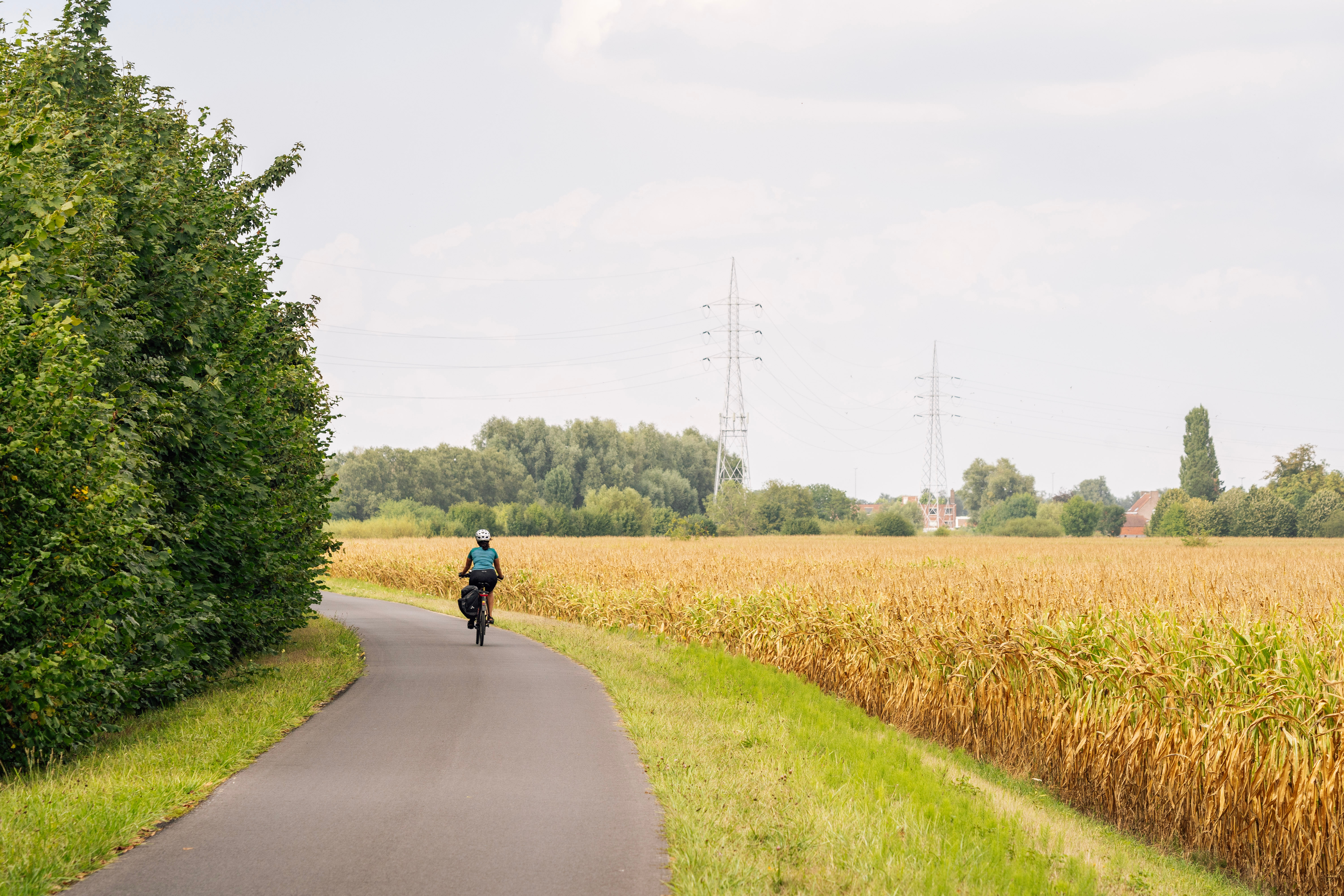 boekhouder Meeuwen-Gruitrode