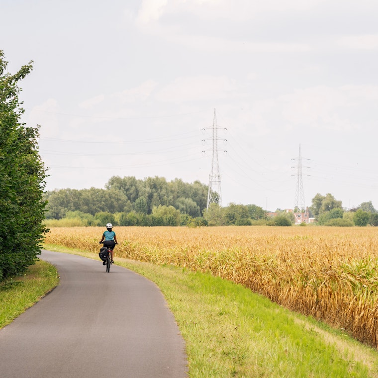 boekhouder Meeuwen-Gruitrode boekhouder Meeuwen-Gruitrode