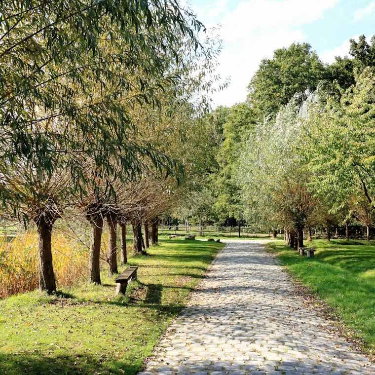 boekhouder Meerhout boekhouder Meerhout