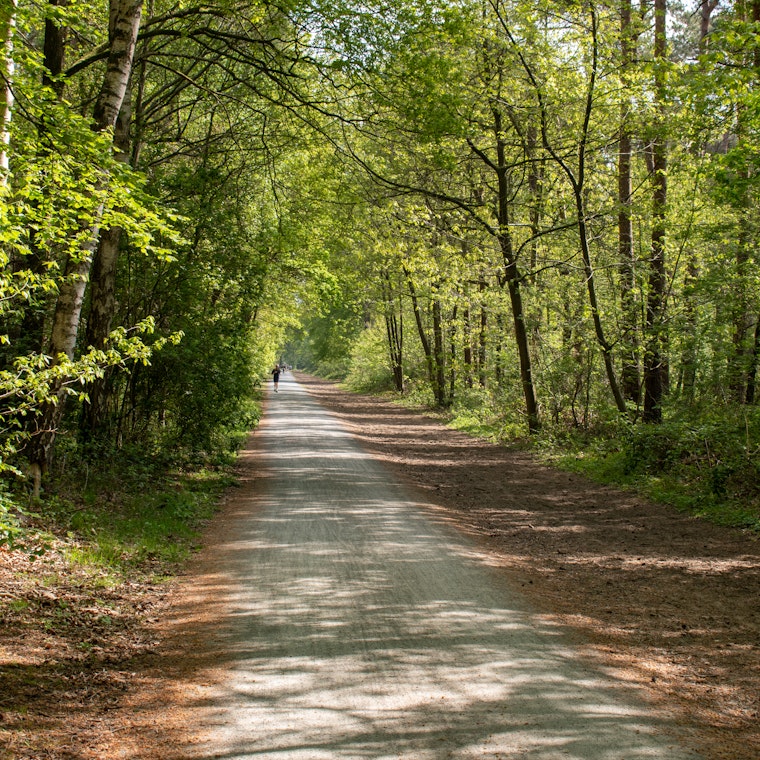 comptable Maldegem comptable Maldegem